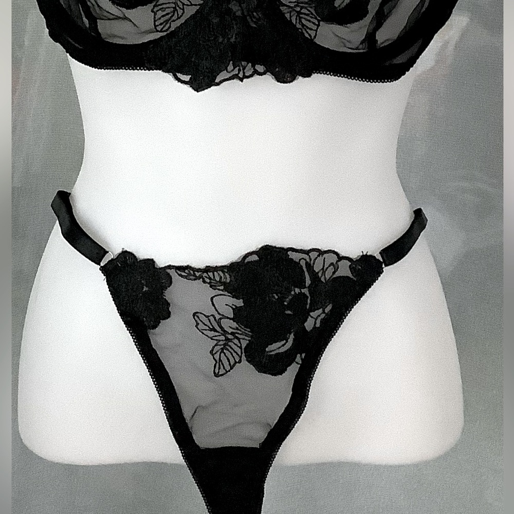 FLORAL AND LACE EXQUISITE EMBROIDERY LINGERIE SET NWOT - Picture 6 of 12